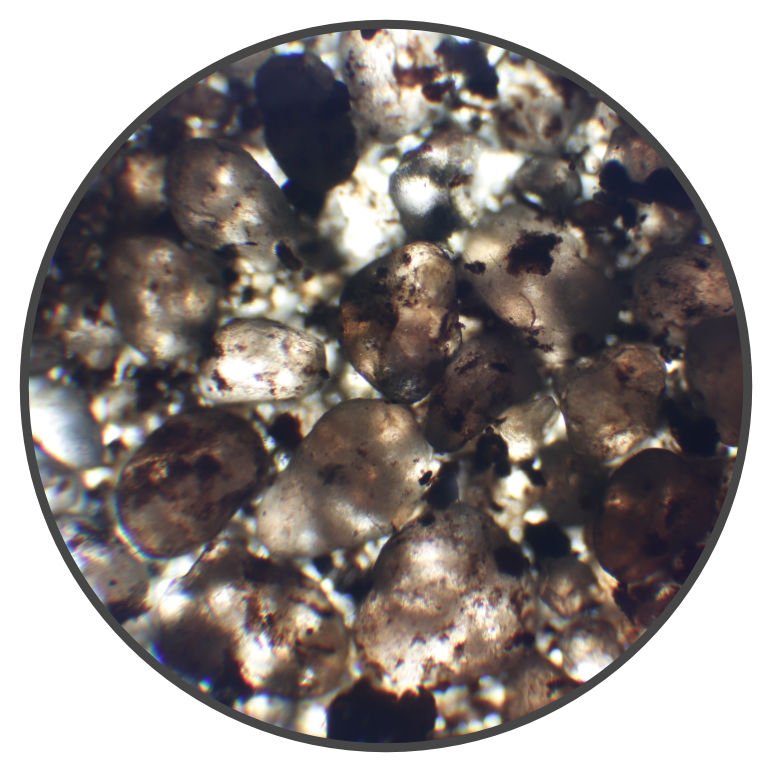 Gleba pod mikroskopem, powiększenie 10x