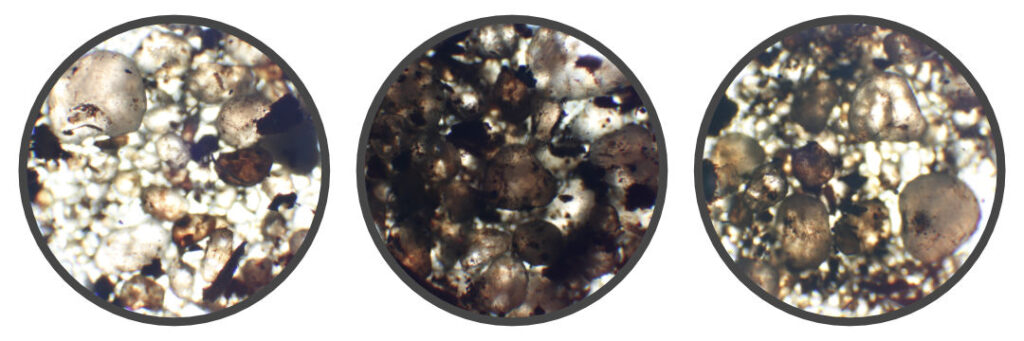 Gleba pod mikroskopem, powiększenie 10x